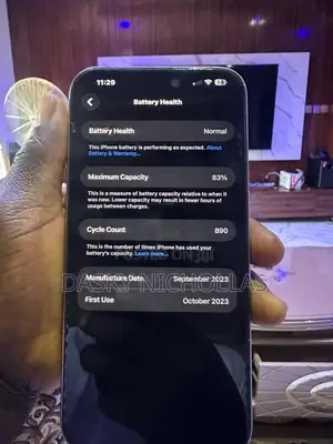 Apple iPhone 15 Pro Max 256 GB Gray