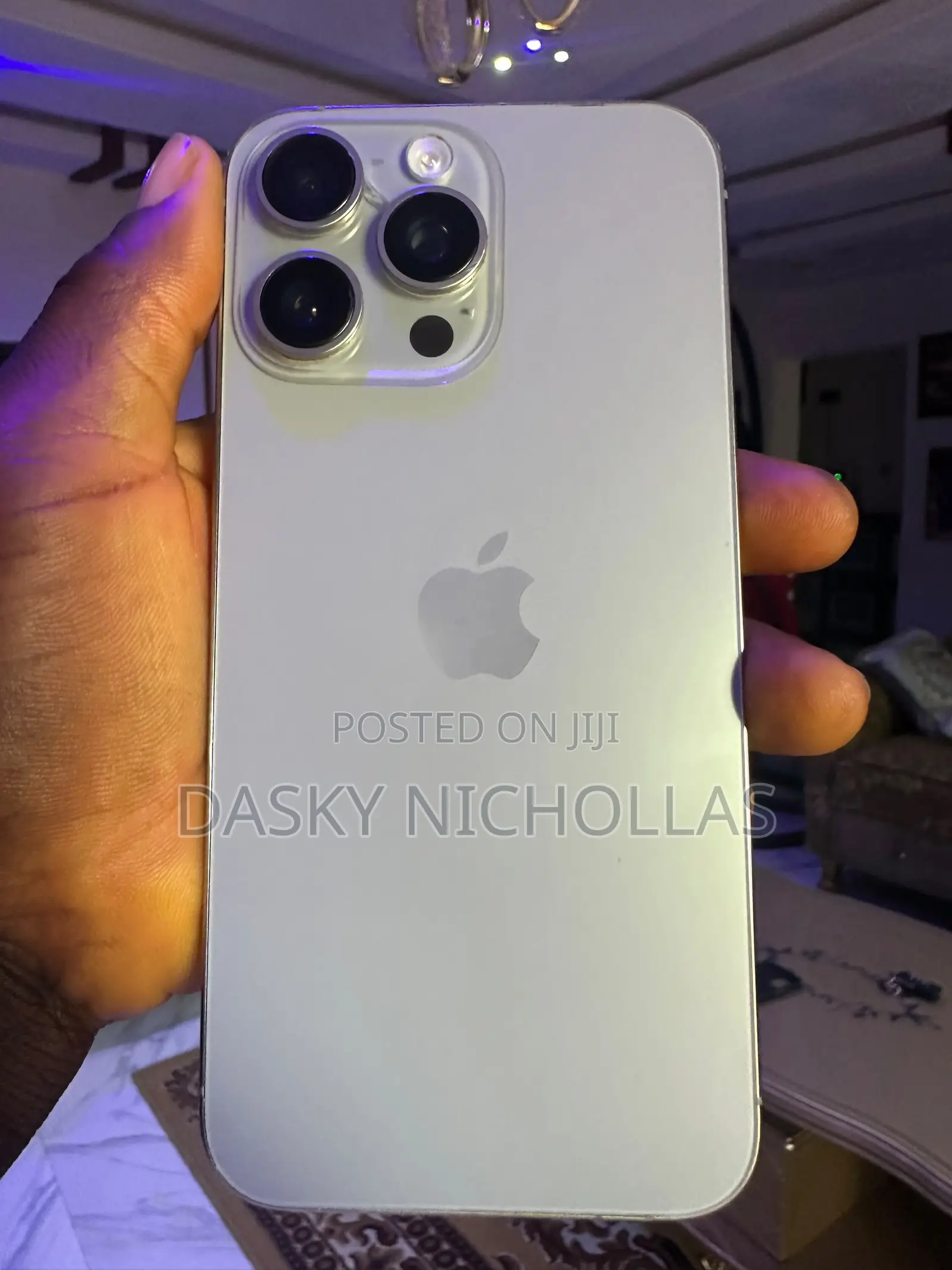 Apple iPhone 15 Pro Max 256 GB Gray