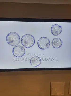Laminar FlowHood( IVF Workstation