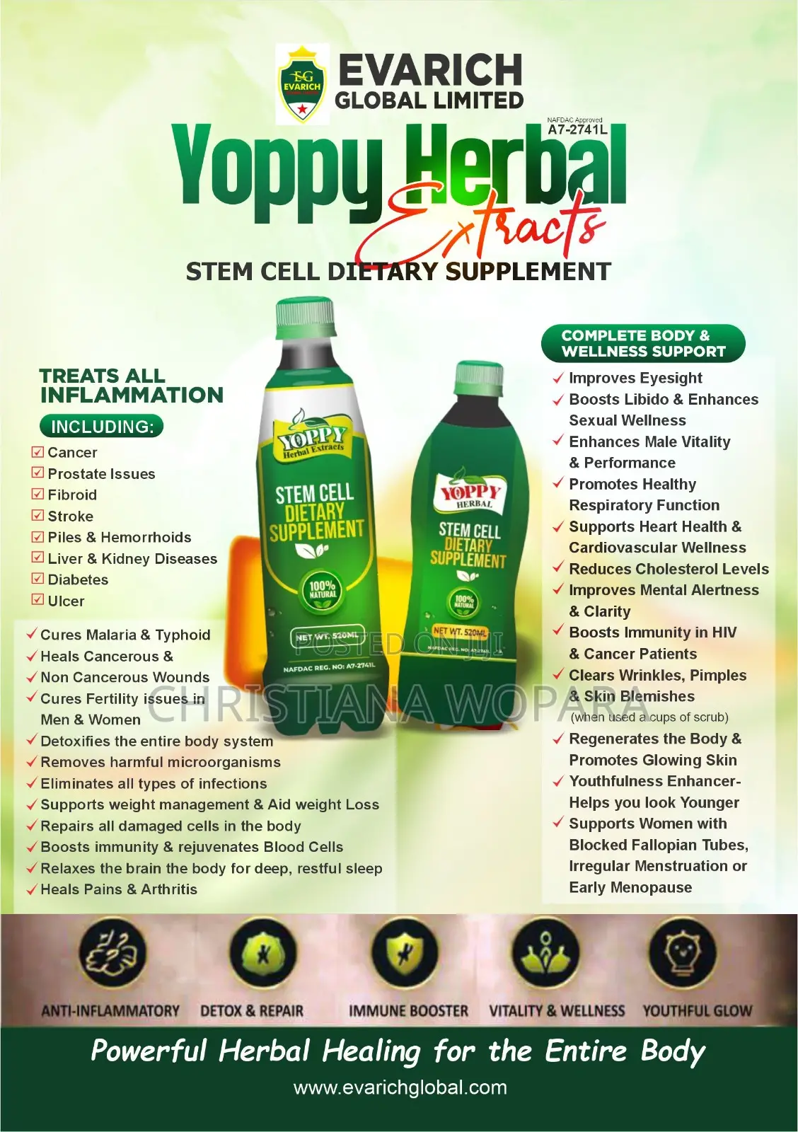Yoppy Herbal Extracts Stemcell Dietary Supplement