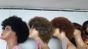 Blend Afro Wig