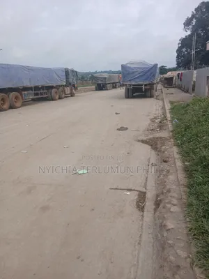 Dangote and Bua Cement Best Distributor Nationwide
