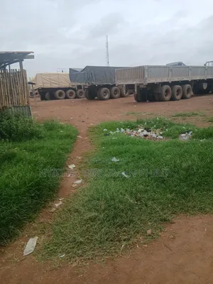 Dangote 3x and Bua Cement Major Distributor