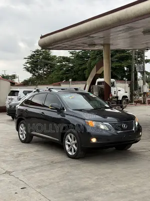 Lexus RX 350 2010 Gray