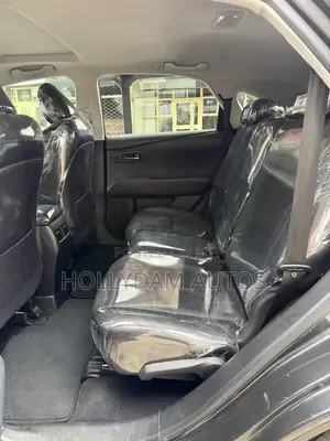 Lexus RX 350 2010 Gray