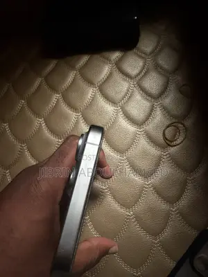 Apple iPhone 15 Pro Max 256 GB Silver