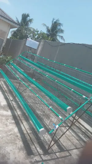 Wire Mesh for Cage