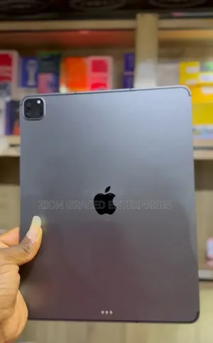 Apple iPad Pro 128 GB Gray
