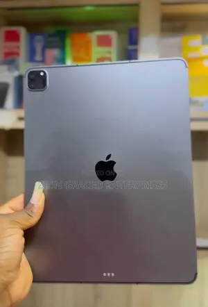 Apple iPad Pro 128 GB Gray