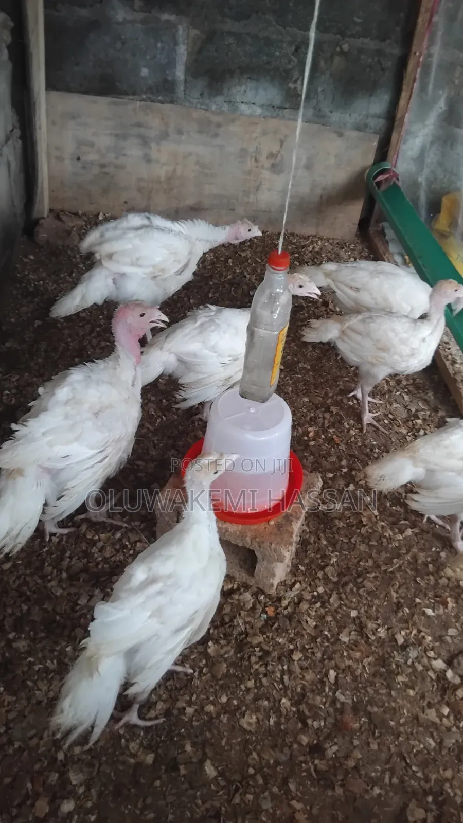 Royal Farm