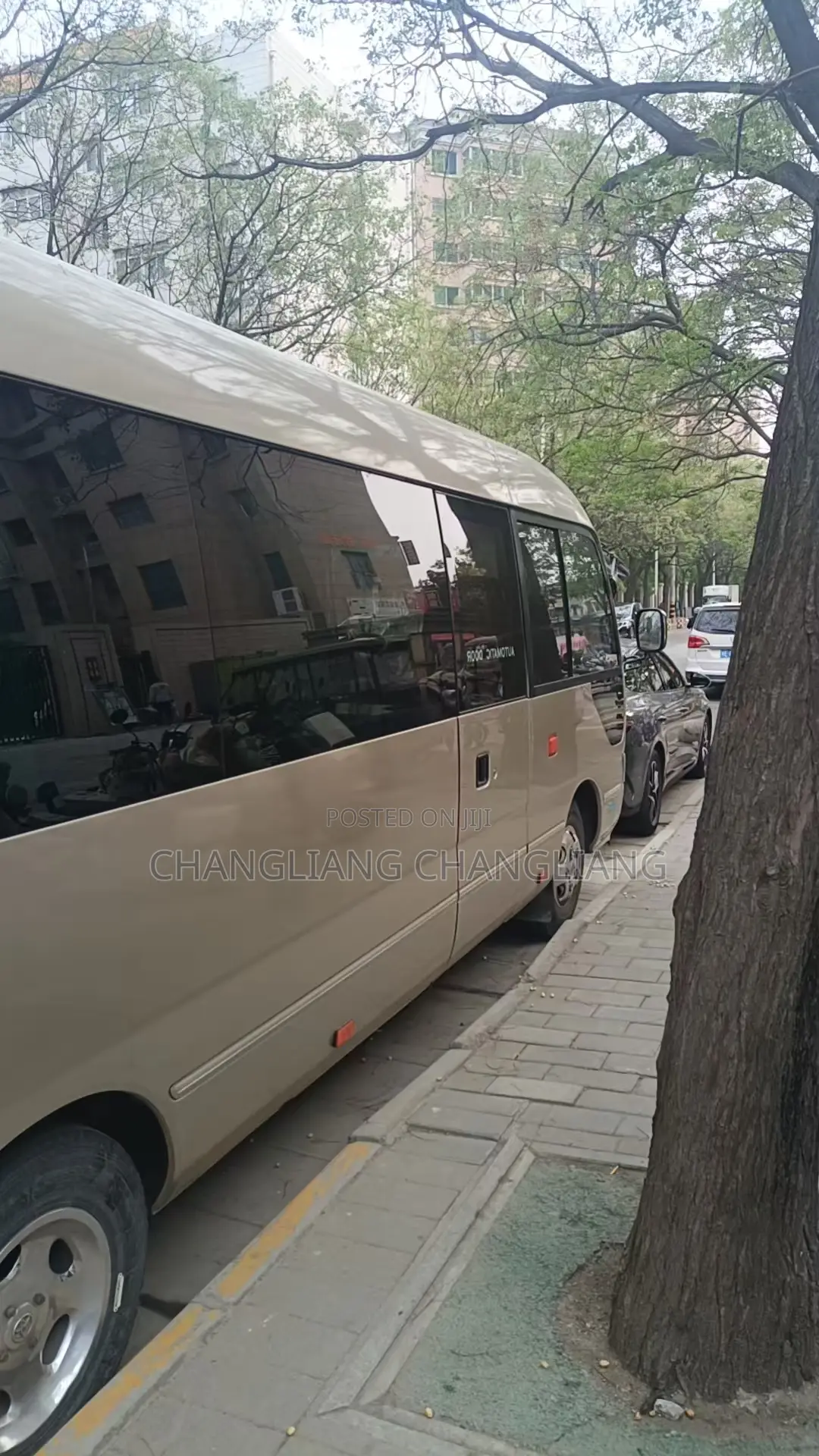 Toyota Coaster 2007 Beige
