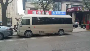 Toyota Coaster 2007 Beige