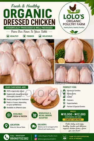 Fresh Organic Dressed Chicken – Hygienically Processed Well Packaged
