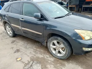 Lexus RX 2005 Gray