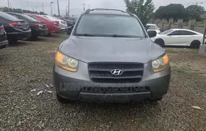 Hyundai Santa Fe 2008 Gray