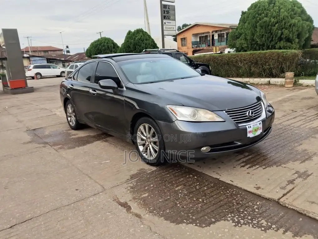 Lexus ES 350 2010 Gray