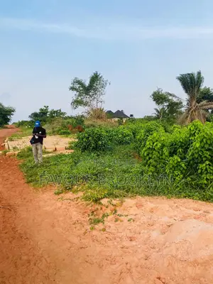1 Plot Land for Sale - Garland Mega City, Evbo'iyamu, Benin | ₦1.5M