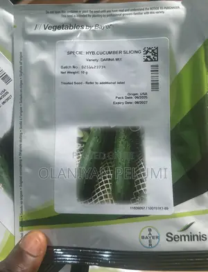 Darina Mix F1 Slicing Cucumber