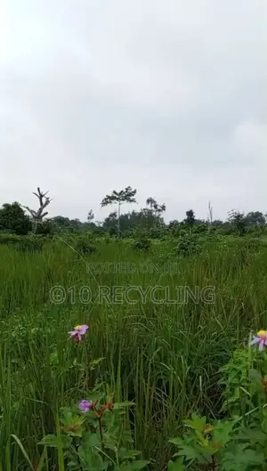 100 by 50 Plots (3) of Land Agbarho