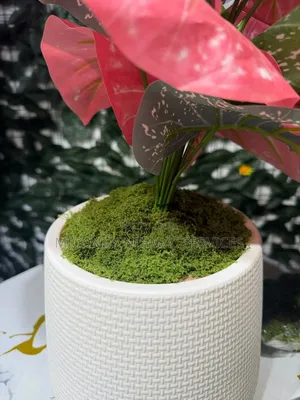 Green Artificial Moss Topper