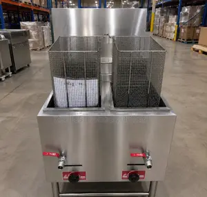 Standing Electric Fryer