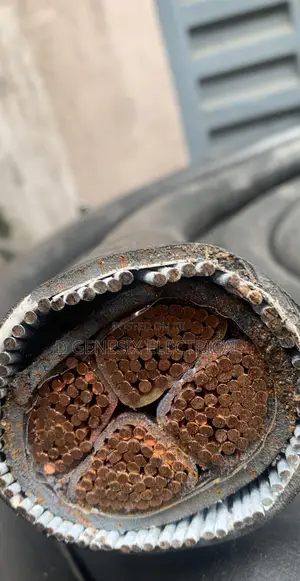 300mm 4 Core Armored Cable Coleman