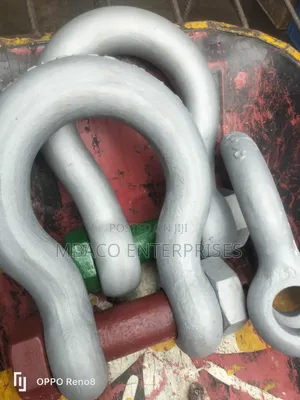 Shackles Bs 1"