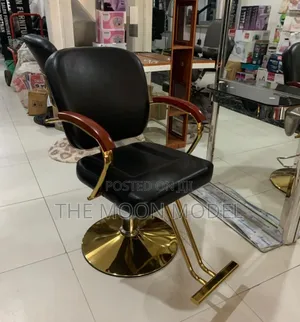 Salon Quality Adjustable Chair