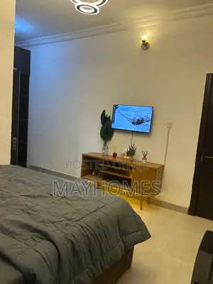 A Room in a Shared Apartment