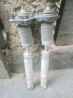 Mazda CX7 Back Shock 2010