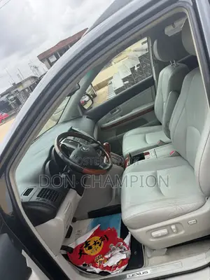 Lexus RX 330 2005 Silver