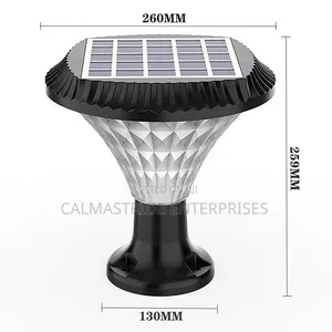 Solar Garden Light