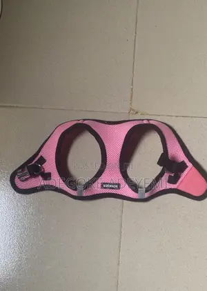 Dogs Jackets