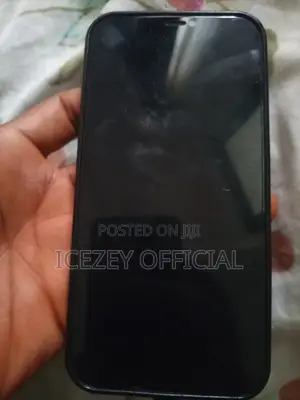 Apple iPhone 12 Pro Max 256 GB Blue