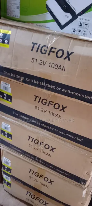 5kwh 51.2v Tig Fox Lithium Battery