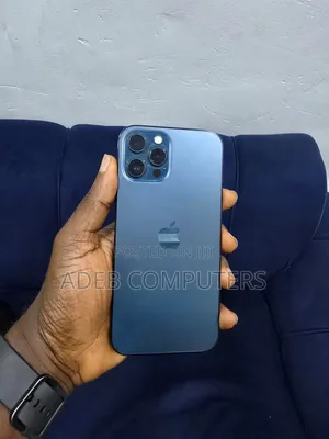 Apple iPhone 12 Pro Max 256 GB Gray