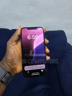 Apple iPhone 12 Pro Max 256 GB Gray