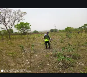 1plot Land at Ogele Eyekorin