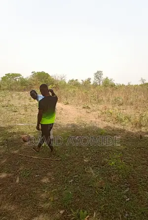 1plot Land at Ogele Eyekorin