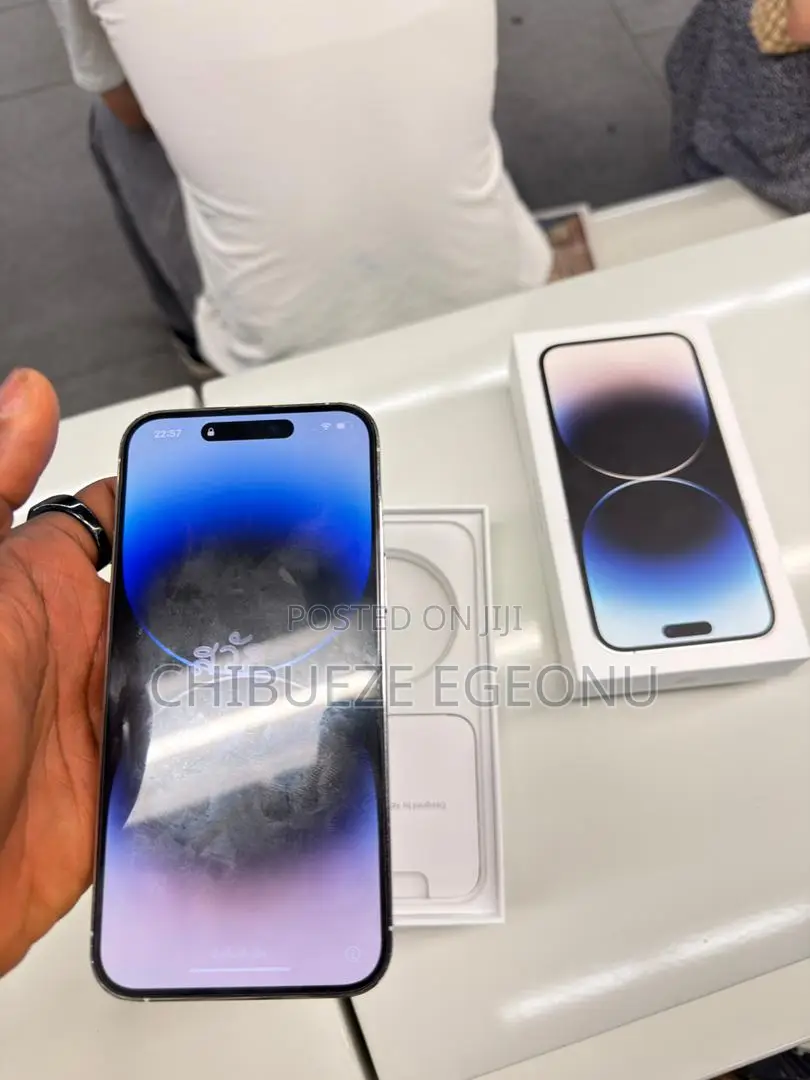 Apple iPhone 14 Pro Max 256 GB Silver