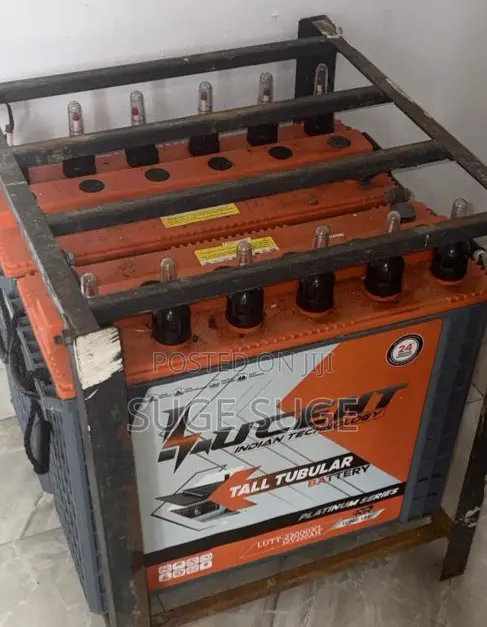 2 Units of Lucent Indian Turbular Battery