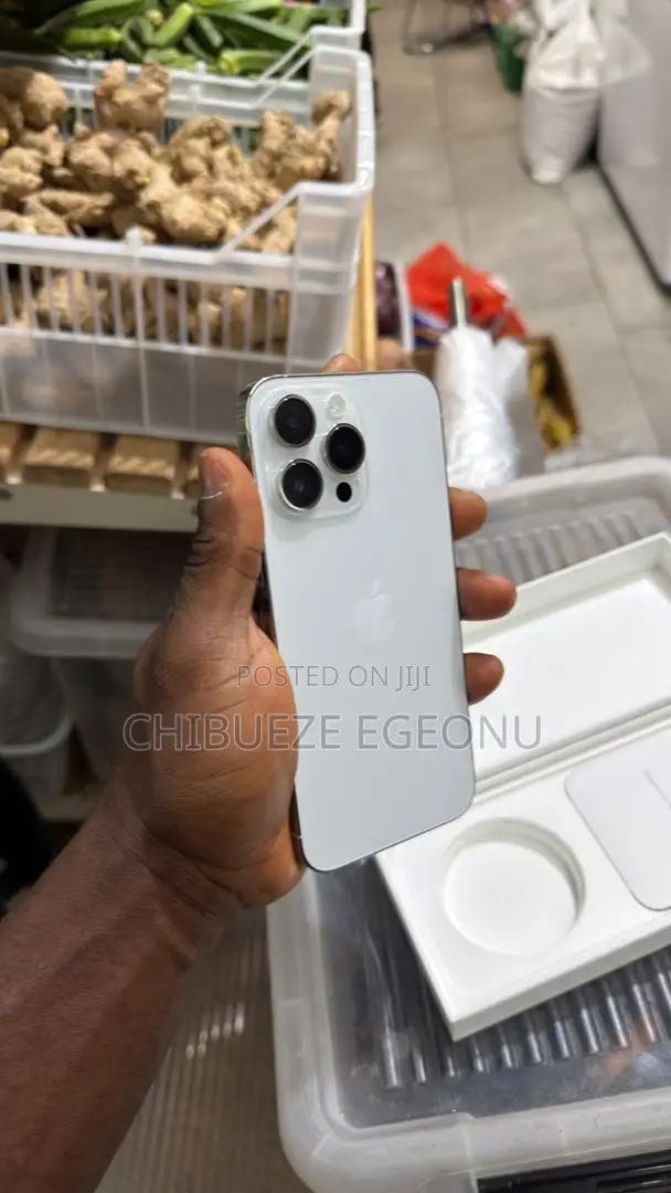 Apple iPhone 14 Pro Max 256 GB Silver