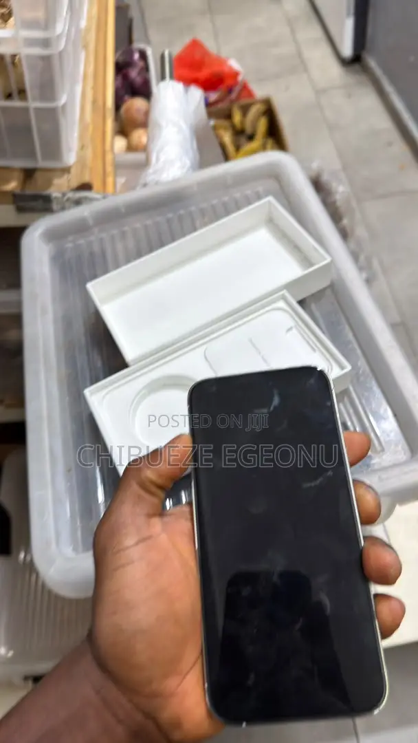 Apple iPhone 14 Pro Max 256 GB Silver