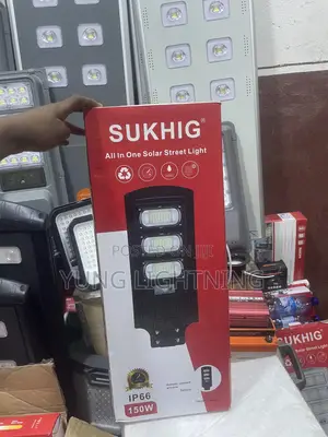 3 Eye Solar Flood Light