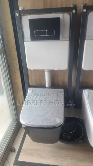 Concealed Wc Black