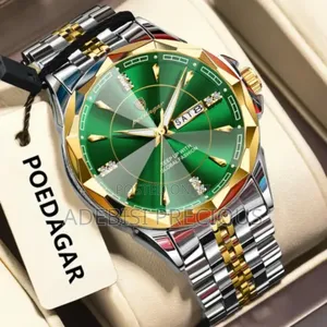 POEDAGAR 674 Men's Luxury Leather Wristwatch