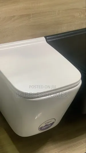 Concealed Wc White
