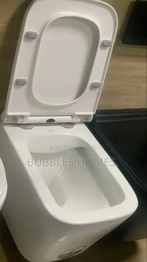Concealed Wc White