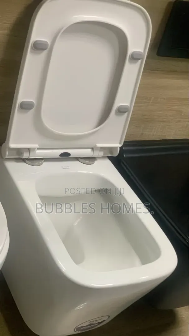 Concealed Wc White