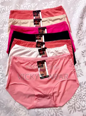 Mr.Felix Women Seamless Mid-Rise Brief Panties - Full Coverage